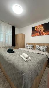 Un pat sau paturi într-o cameră la Apartament BD 54