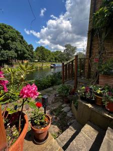 Un grupo de plantas y flores en macetas en una pasarela. en Amazing Location - City of London- 2 Bedroom Stunning Canal View House With Private Garden,Parking & Balcony, en Londres
