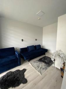 salon z niebieską kanapą i dywanem w obiekcie Natura Resort "Bałtycki Sen" w Jastrzębiej Górze