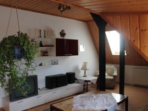 a living room with a couch and a tv at Mit Pool bei Grevesmühlen in Schönhof