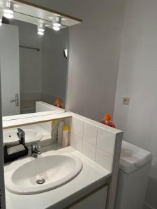 une salle de bain blanche avec un lavabo et un miroir dans l'établissement Studio 8 - Bord de Loire, à Orléans