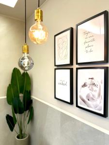um grupo de fotos emolduradas numa parede com uma planta em Falco Suite Apartment em Nápoles
