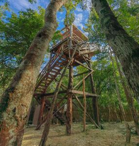 圖盧姆的住宿－Treehouse Tulum H2Ojos，树中间的树屋