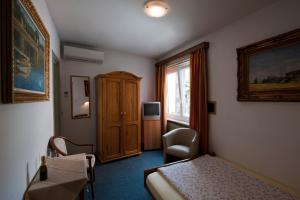 Sjónvarps- og/eða afþreyingartæki á Hotel Dischma - FREE BUS AND TRAIN TICKET