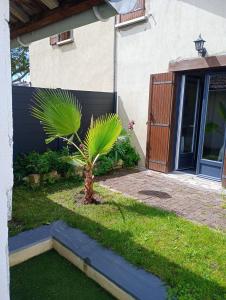 a palm tree in front of a house at Gabrielle 40m2, Netflix in Sainte-Savine