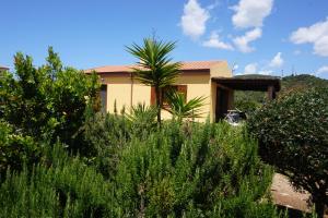 uma casa com uma palmeira em frente em Villa Rosanna em Alghero