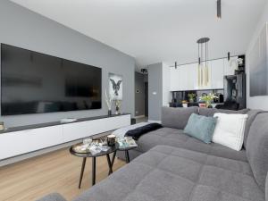Un televizor și/sau centru de divertisment la Apartment by Dziwna River with Spa & Pool