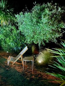una silla y una mesa frente a un árbol en Maison d'exception Girondine en La Lande-de-Fronsac