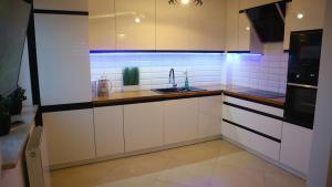 Η κουζίνα ή μικρή κουζίνα στο Apartament Skalny Ślichowice, blisko Targów Kielce, Faktura VAT