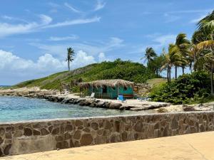 a beach with a hut and palm trees and the ocean at Coco and sun Hibiscus Le Manganao in Belle-Allée