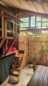 a loft bed in a room with wooden walls at Roots Family in Puerto Viejo