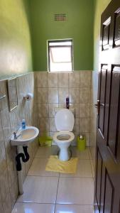 uma casa de banho com um WC e um lavatório em Happy Holiday Backpackers em Victoria Falls