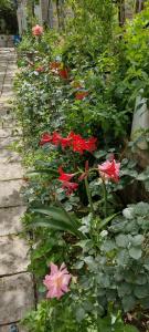 En have udenfor Kristi House