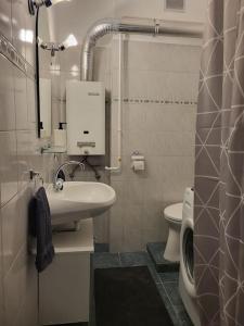 Koupelna v ubytování Tornyai Apartman