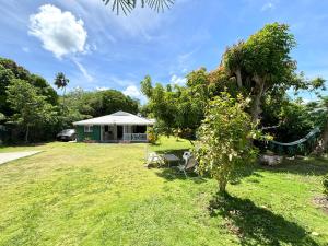 ein kleines Haus in einem Hof mit einem Baum in der Unterkunft La Maison Créole du Flamboyant - Proche des Plages in Anse-Bertrand