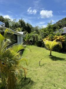 Ein Garten an der Unterkunft La Maison Créole du Flamboyant - Proche des Plages