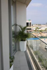 - un balcon avec une plante en pot dans un bâtiment dans l'établissement Island, Pool & Sea Apartment, à Chicala
