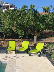 three green chairs sitting in front of a tree at Casa de Cardigos in Cardigos