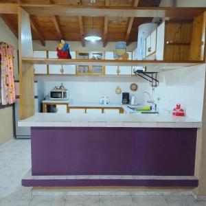 a kitchen with a sink and a counter top at Casa San Lucas in San Rafael