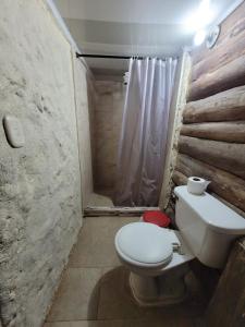 a small bathroom with a toilet and a shower at Cabañas el Portal in Santa Rosa de Cabal