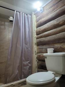 a bathroom with a toilet and a wooden wall at Cabañas el Portal in Santa Rosa de Cabal