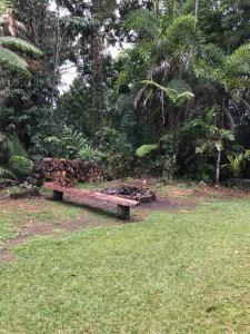 Gallery image of Kaba Kada House - Daintree Rainforest in Diwan