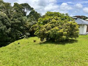 Bilde i galleriet til gîte de forêt de Guadeloupe i Petit-Bourg