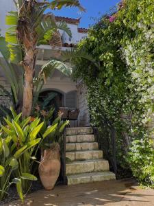 a set of stairs leading to a house with plants at 9 Alacati Boutique Hotel in Alacati