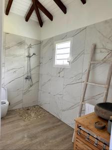 baño con ducha y aseo y ventana en gîte de forêt de Guadeloupe, en Petit-Bourg