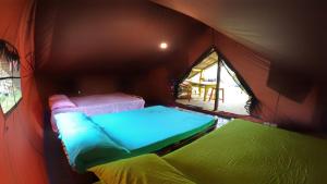- une chambre avec 2 lits dans une tente dans l'établissement Delft Village Stay, à Delft East
