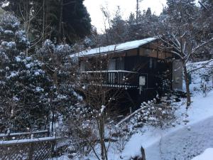 冬のnanakoyaの様子