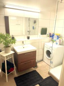 een badkamer met een wastafel en een wasmachine bij University Messe Apartment in Graz