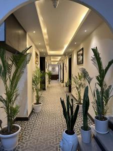 صورة لـ Hotel Kritika في نويدا الكبرى