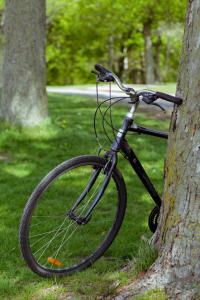 Auberge PVT Hostel في مونتريال: دراجة متوقفة بجانب شجرة