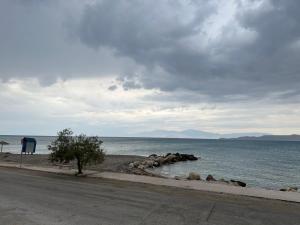 Φυσικό τοπίο κοντά σε αυτή η παραθεριστική κατοικία