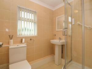 a bathroom with a shower and a toilet and a sink at 245 Riverside Lodge in Caernarfon