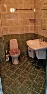 プリモルスコにあるАмон Раのトイレと洗面台付きのバスルーム