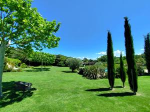MérindolにあるLes Grandes Terres - Gîtes & SPAの檜の木と青空のある公園