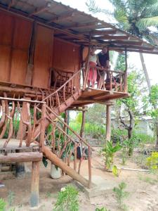Kép Sigiriya Paradise Treehouse szállásáról Szigirijában a galériában
