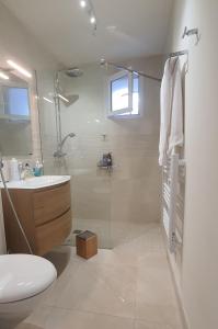 a bathroom with a shower and a sink and a toilet at Charmant appartement en Rez de jardin in Sartène