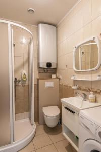 a bathroom with a shower and a toilet and a sink at Studio Relax in Nida