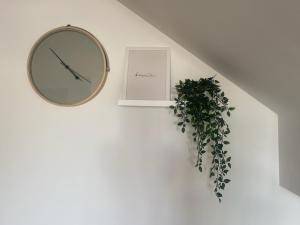 Casa Marla mit 3 Schlafzimmern und 2 Badezimmern في بويرتو كاليرو: ساعة ونبات خزف على الحائط