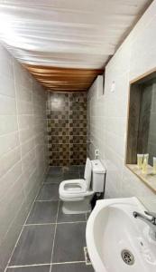 a bathroom with a toilet and a sink at Wadi rum sand Delight camp in Wadi Rum +113 photos