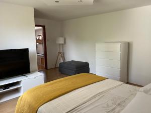 1 dormitorio con 1 cama y TV de pantalla plana en VOLMEness, en Pula