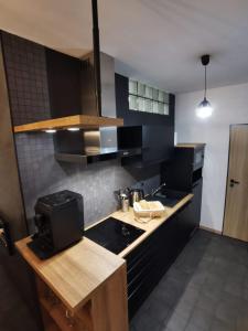 uma cozinha com armários pretos e um balcão preto em Apartmán Bílá Voda em Cervena Voda