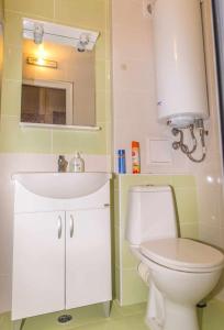 ein Badezimmer mit einem weißen Waschbecken und einem WC in der Unterkunft Tedi in Kranewo