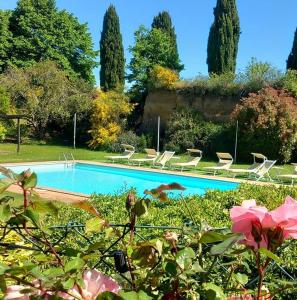 Locanda Rosati في أورفييتو: مسبح في حديقة فيها كراسي وزهور