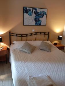 ein Schlafzimmer mit einem weißen Bett mit zwei Kissen in der Unterkunft Spacious Apartment Archidamoy 114 in Sparta