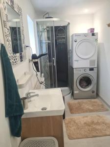a bathroom with a sink and a washing machine at appartement atypique en triplex in Luze +30 photos