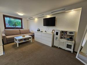TV a/nebo společenská místnost v ubytování Apartmán U Peciho